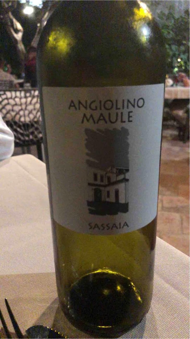 Sassaia - Azienda Agricola La Biancara - Angiolino Maule 