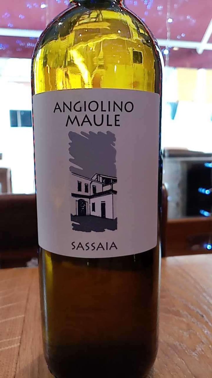 Sassaia - Azienda Agricola La Biancara - Angiolino Maule 
