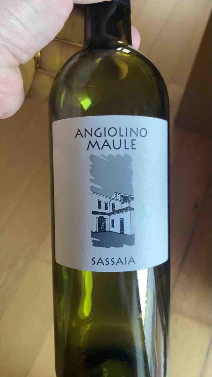 Sassaia - Azienda Agricola La Biancara - Angiolino Maule 