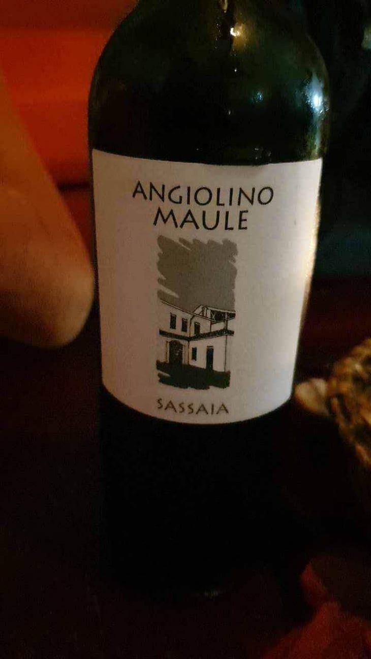 Sassaia - Azienda Agricola La Biancara - Angiolino Maule 