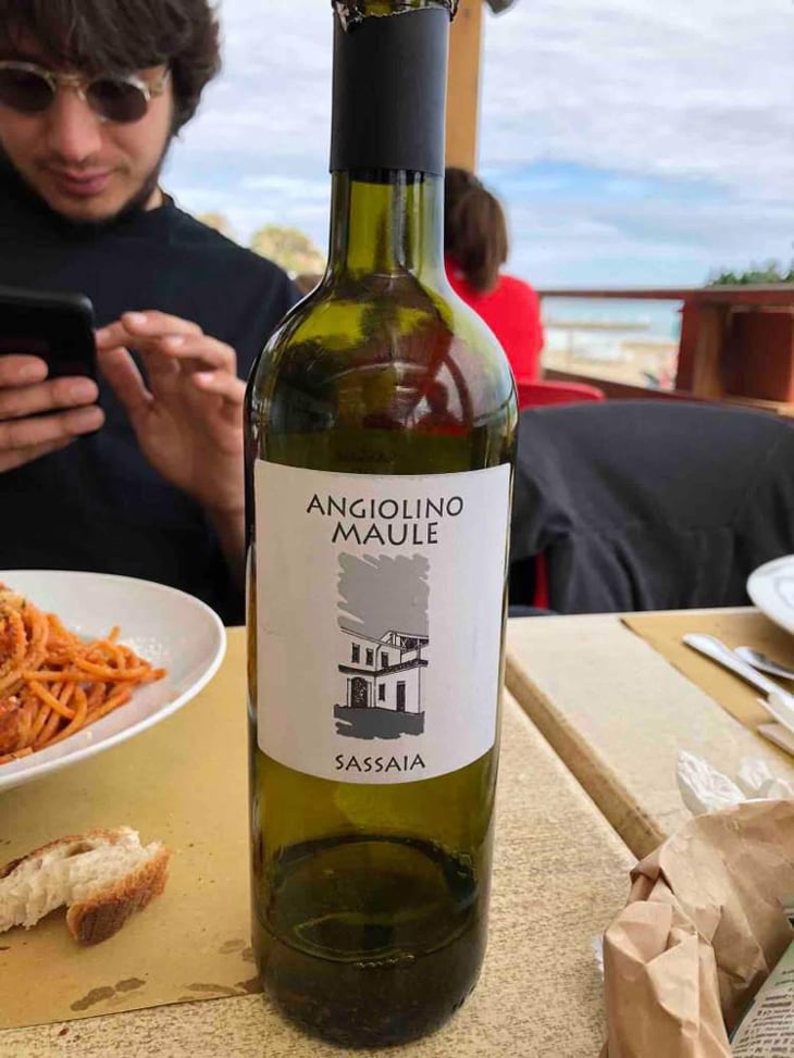 Sassaia - Azienda Agricola La Biancara - Angiolino Maule 