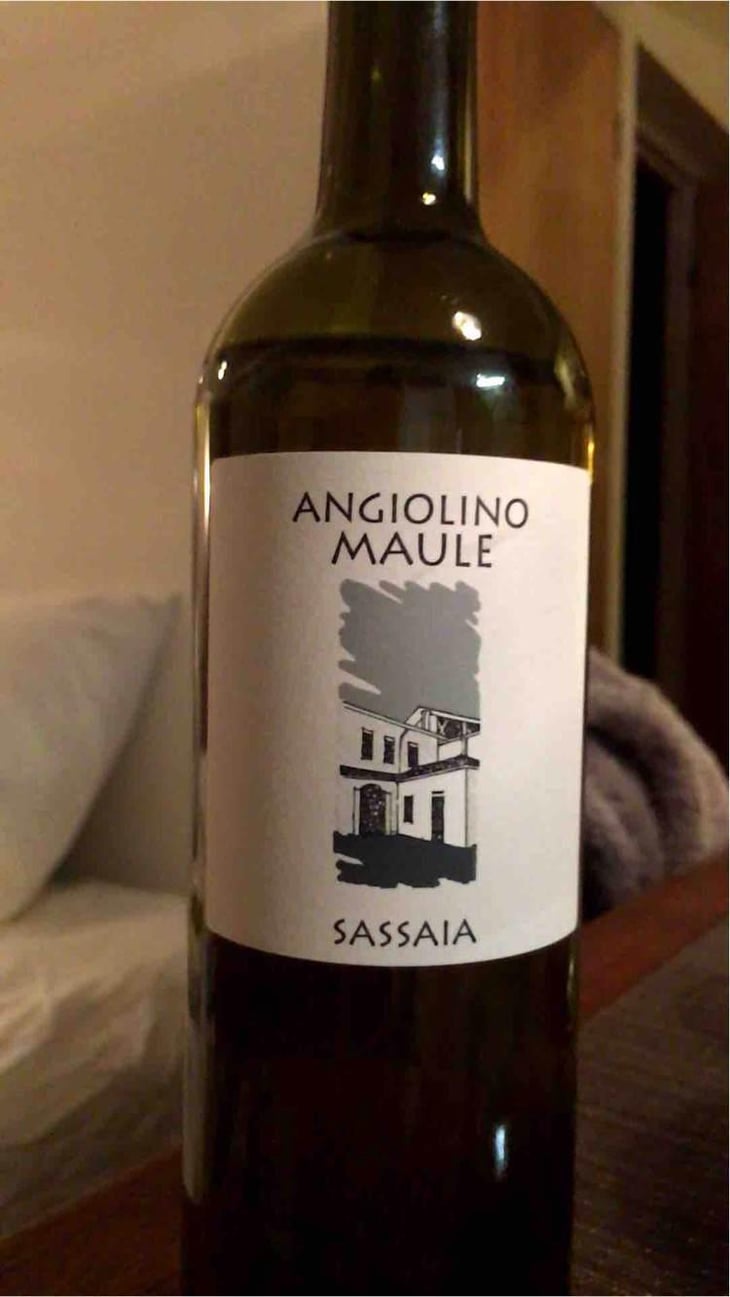 Sassaia - Azienda Agricola La Biancara - Angiolino Maule 
