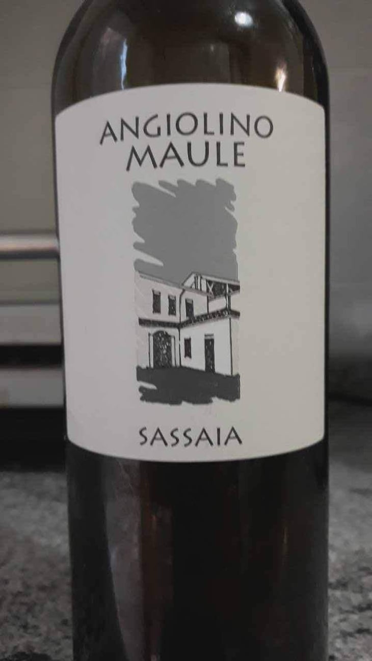 Sassaia - Azienda Agricola La Biancara - Angiolino Maule 