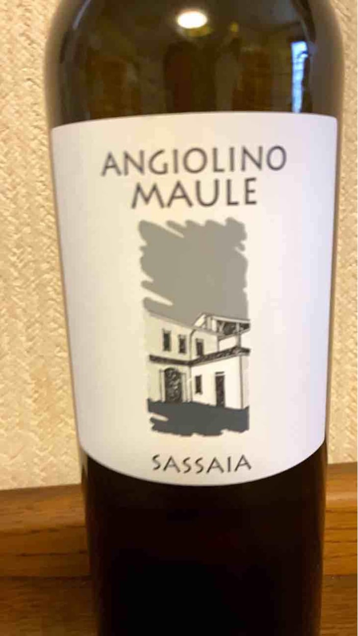 Sassaia - Azienda Agricola La Biancara - Angiolino Maule 