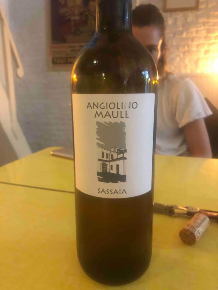 Sassaia - Azienda Agricola La Biancara - Angiolino Maule 