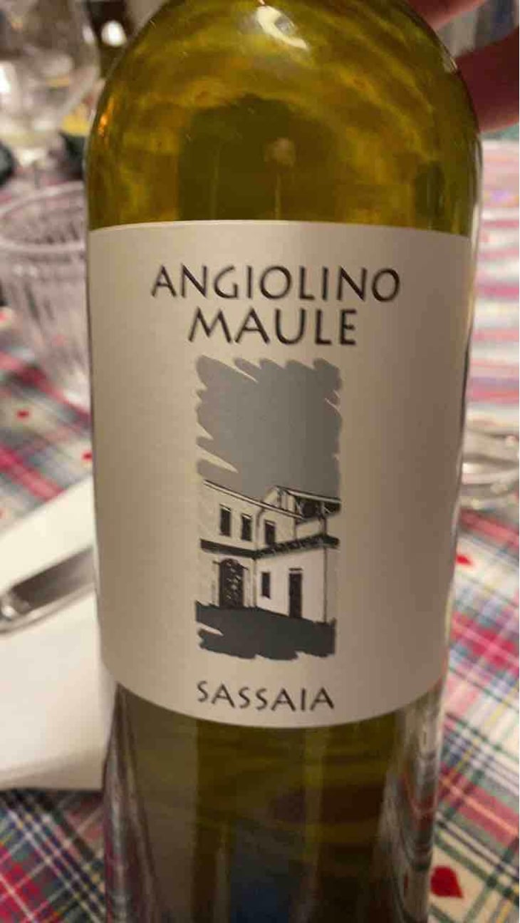 Sassaia - Azienda Agricola La Biancara - Angiolino Maule 