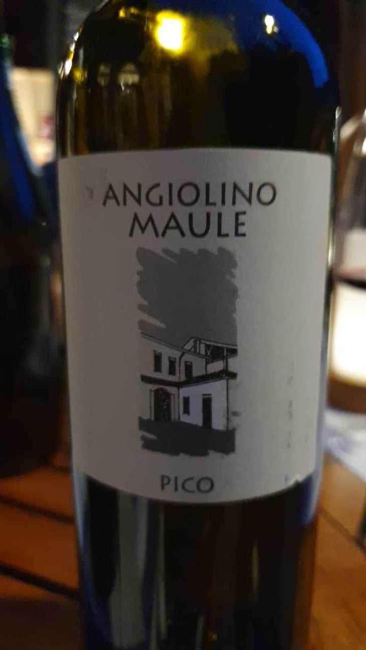 Sassaia - Azienda Agricola La Biancara - Angiolino Maule 