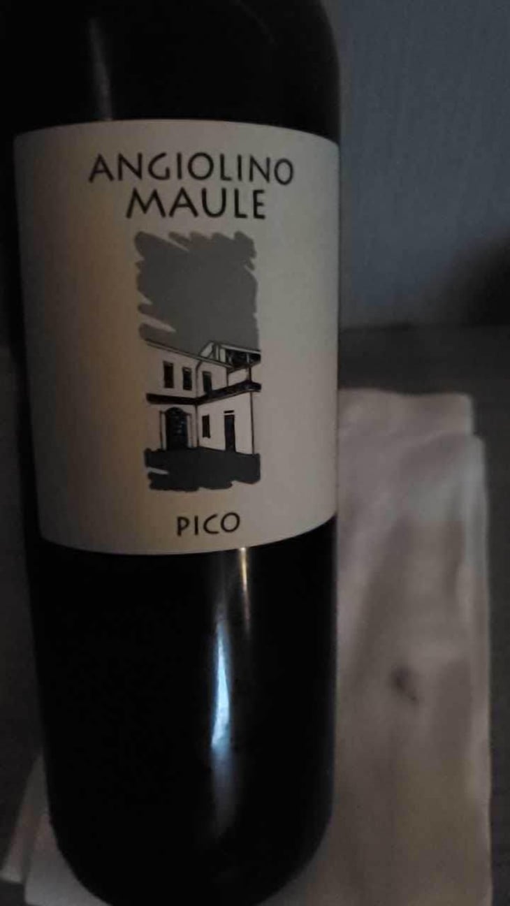 Sassaia - Azienda Agricola La Biancara - Angiolino Maule 