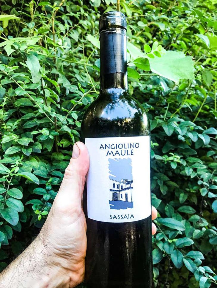 Sassaia - Azienda Agricola La Biancara - Angiolino Maule 
