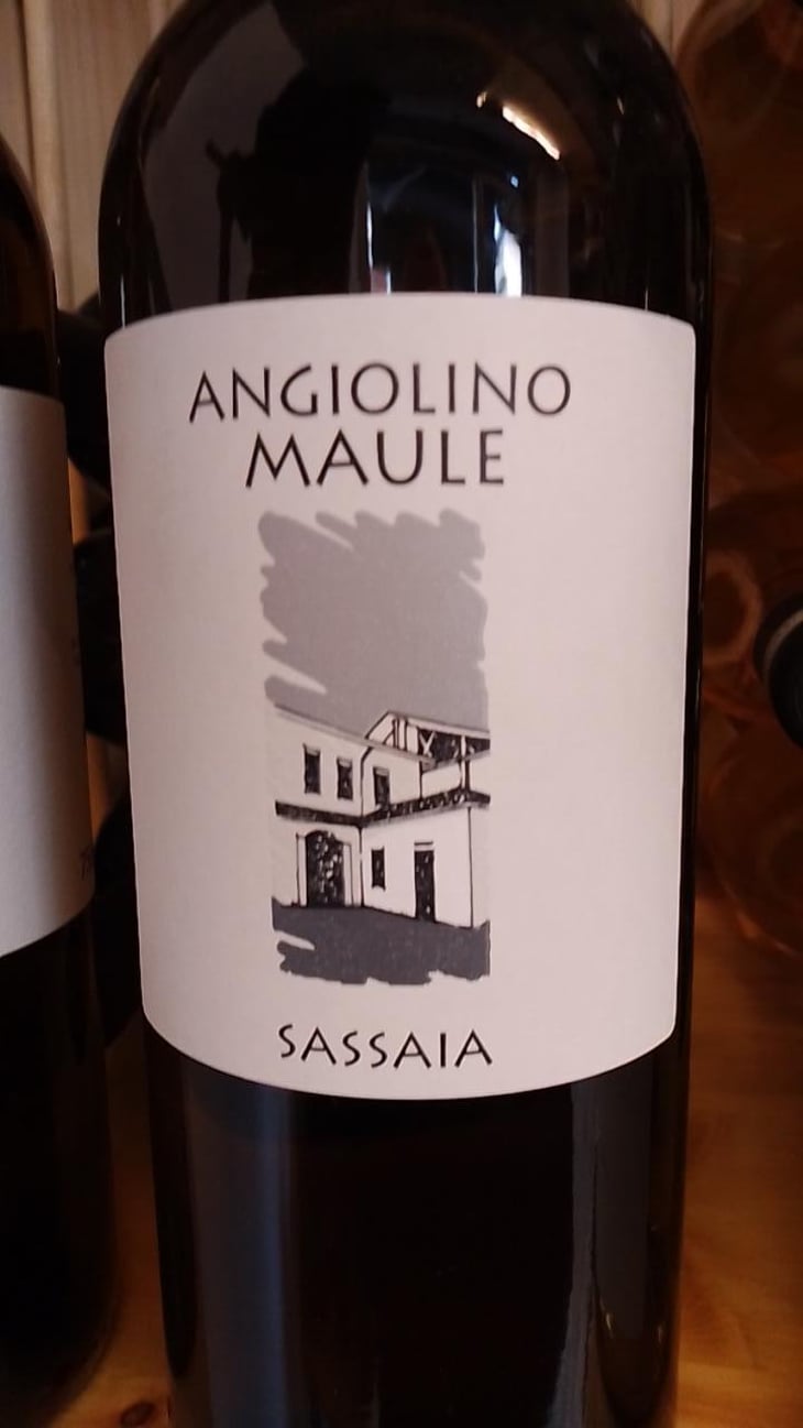 Sassaia - Azienda Agricola La Biancara - Angiolino Maule 