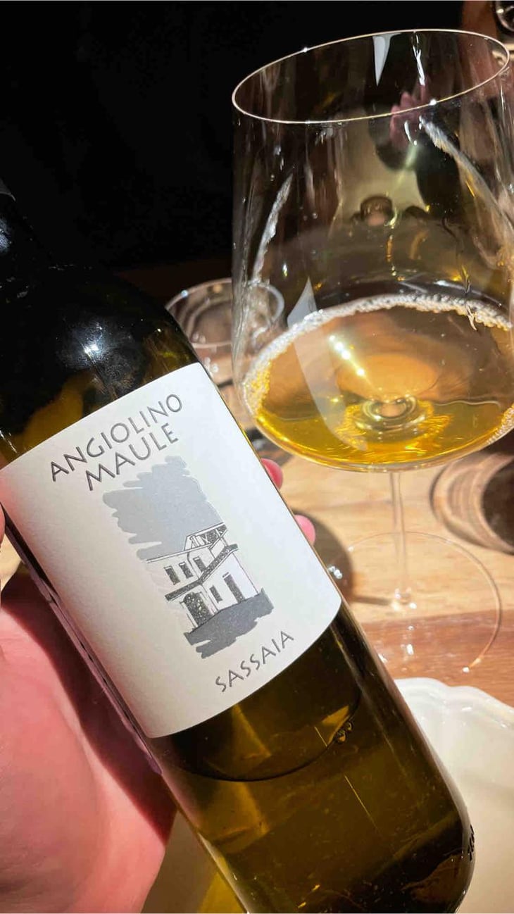 Sassaia - Azienda Agricola La Biancara - Angiolino Maule 