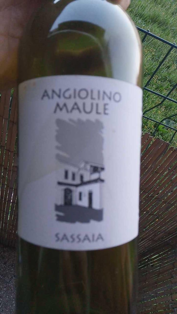 Sassaia - Azienda Agricola La Biancara - Angiolino Maule 