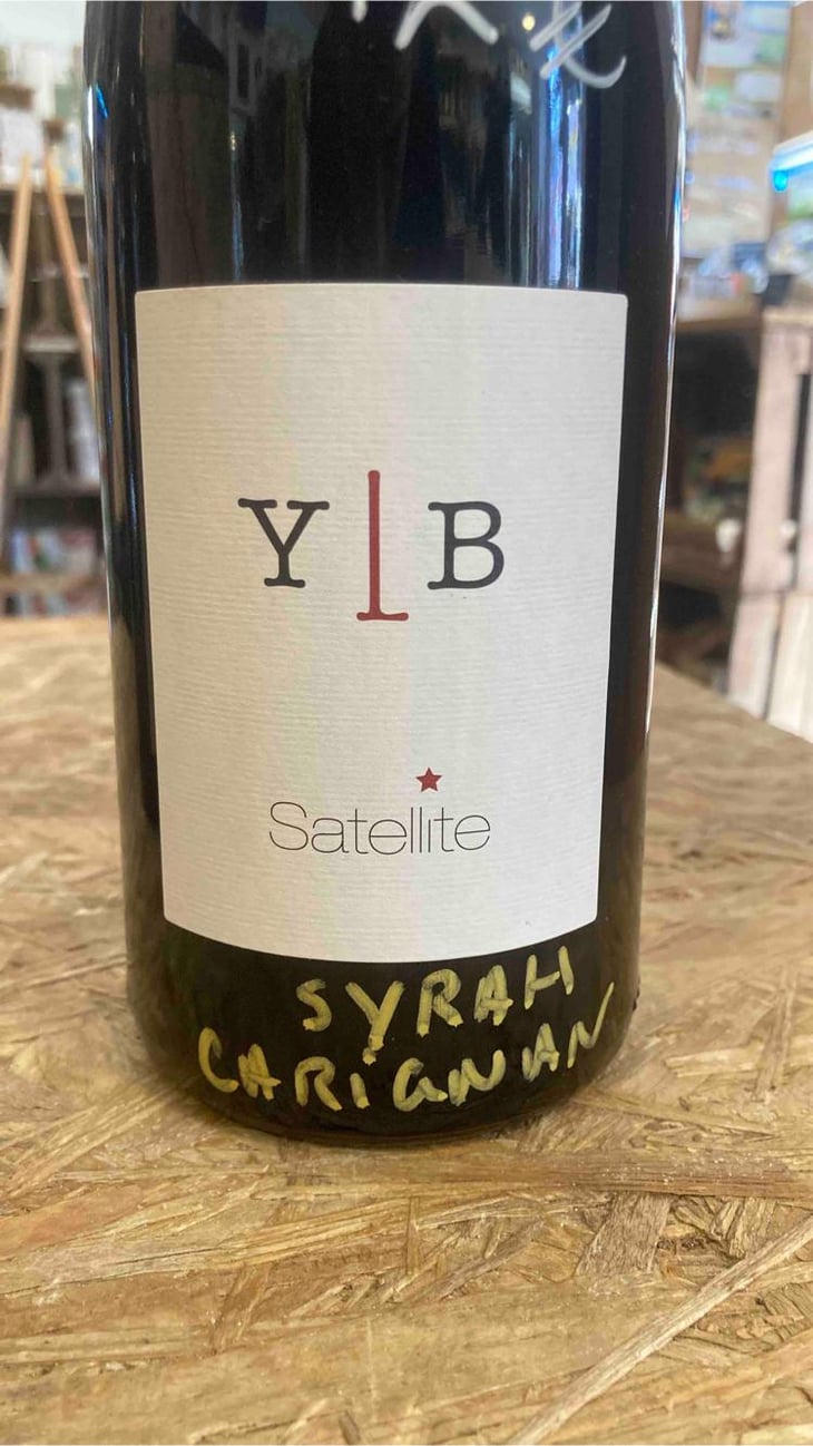 Satellite - Domaine YLB - Yann Le Bouler -2021