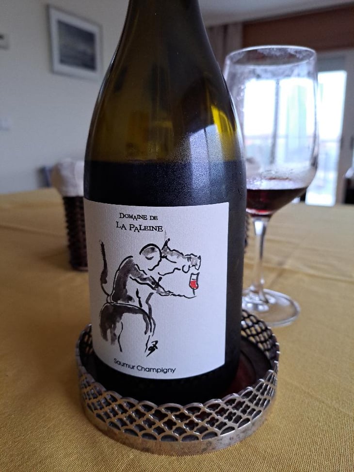 Saumur Champigny - Domaine De La Paleine - Jean-Louis Bernet (ex Laurence et Marc Vincent) -2020