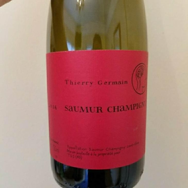 Saumur Champigny - Domaine des Roches Neuves - Thierry et Louis Germain 