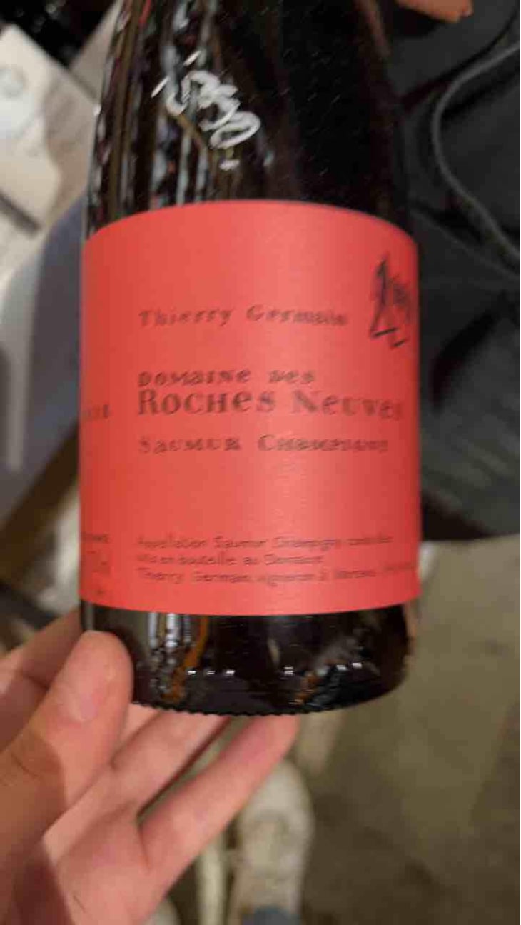 Saumur Champigny - Domaine des Roches Neuves - Thierry et Louis Germain 