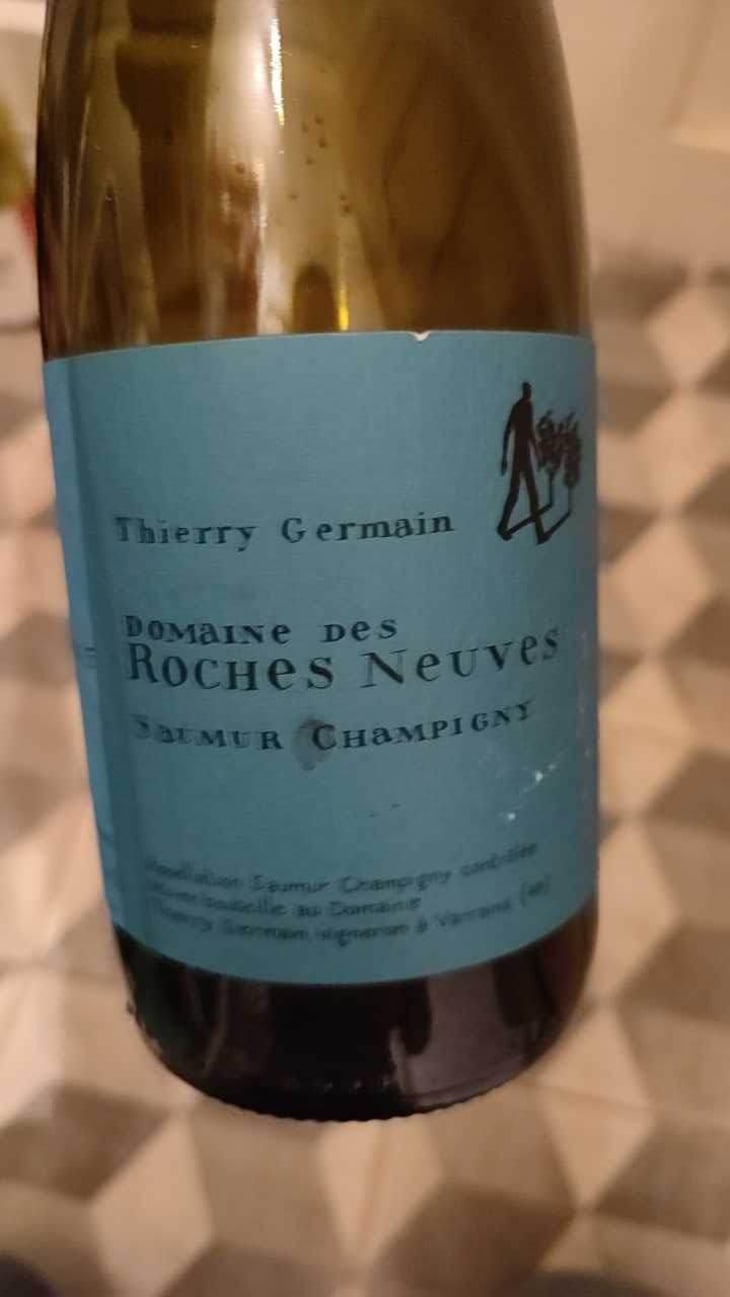 Saumur Champigny - Domaine des Roches Neuves - Thierry et Louis Germain 