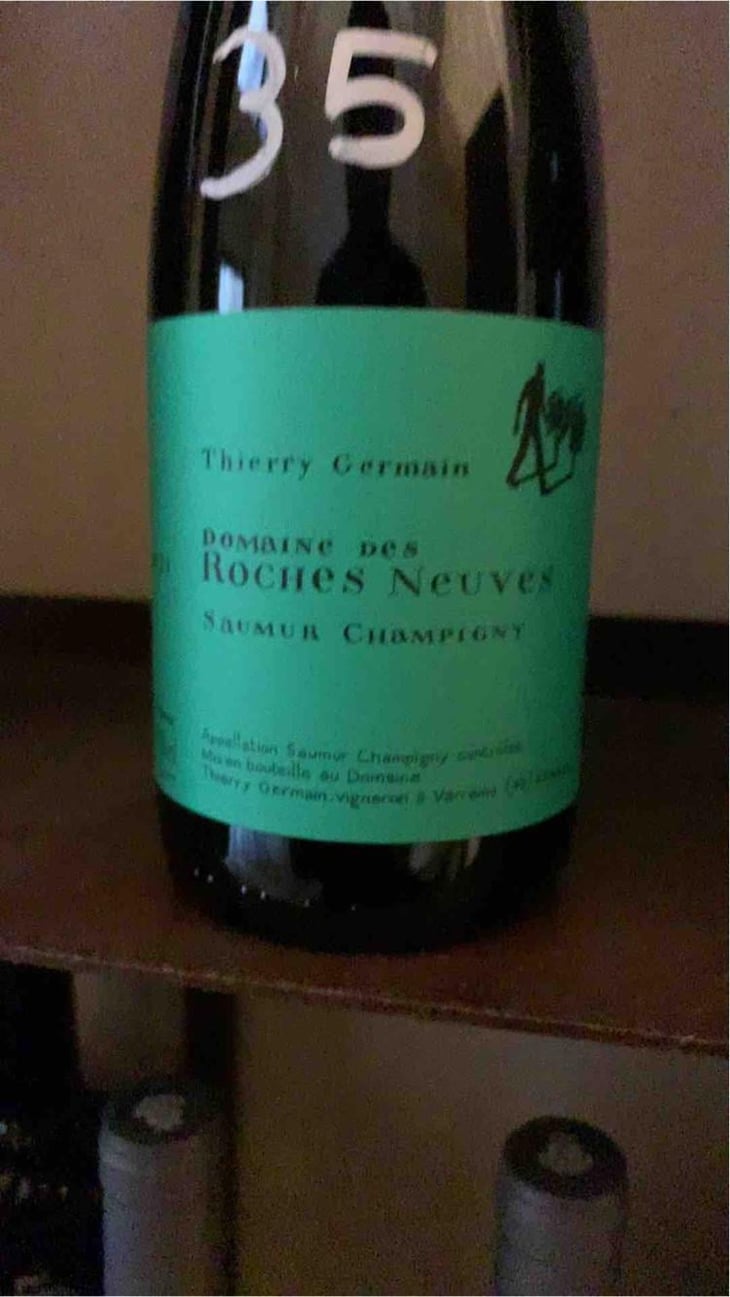Saumur Champigny - Domaine des Roches Neuves - Thierry et Louis Germain 