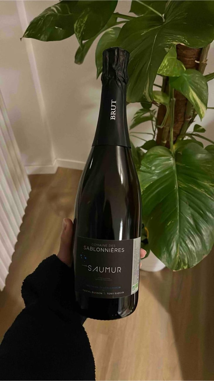 Saumur - Domaines Des Sablonnieres - Pascal Busson & Tony Raboin 