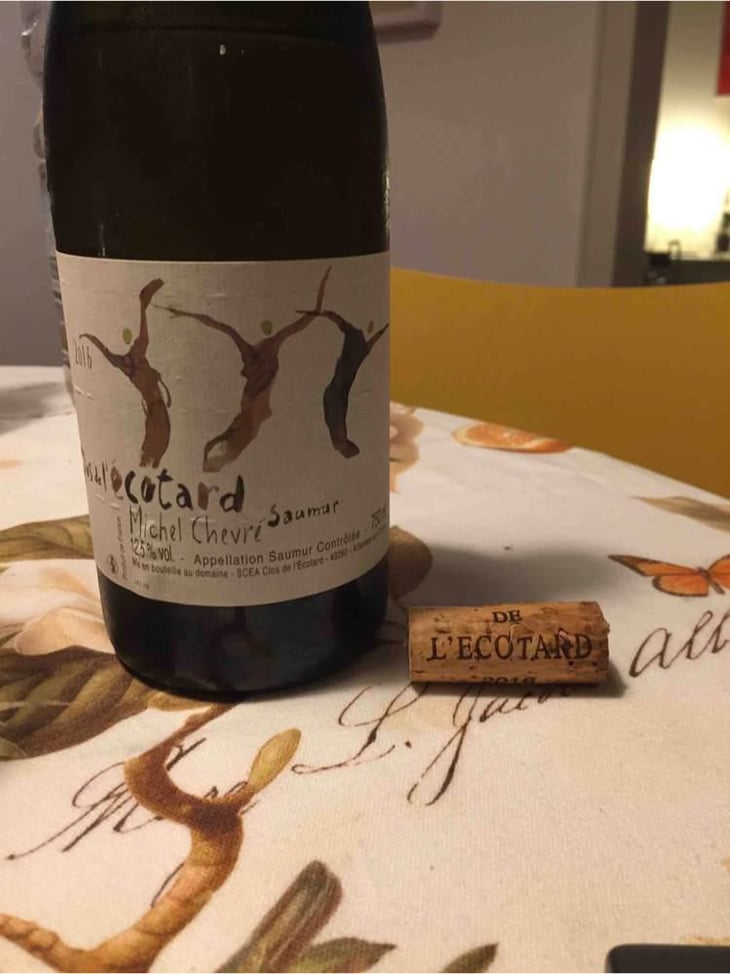 Saumur - Clos De L'Ecotard - Thibaud & Michel Chevré 