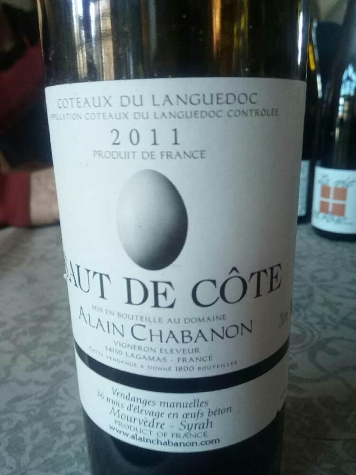 Saut De Côté - Domaine Alain Chabanon - Alain Chabanon 