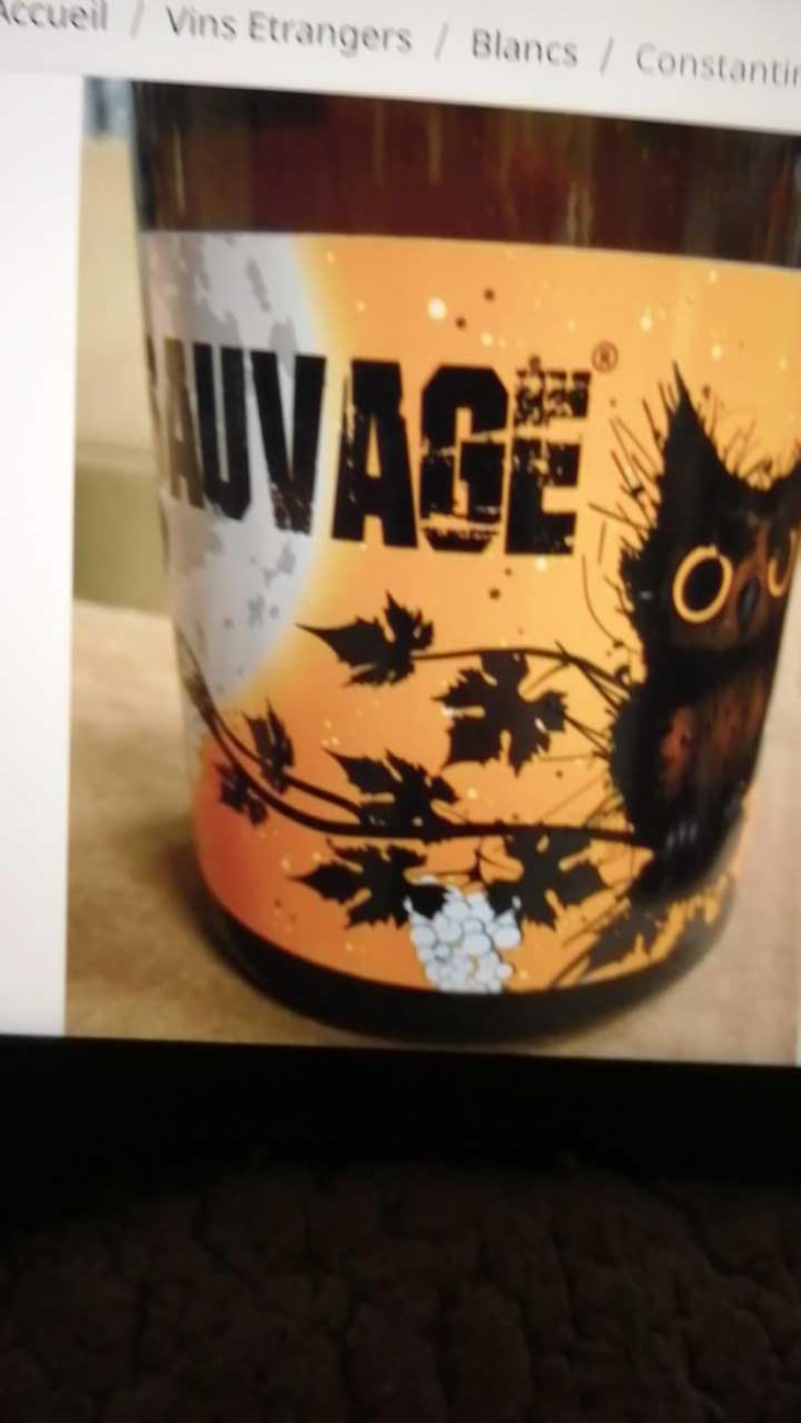 Sauvage - Constantina Sotelo Micro Bodega - Constantino Sotelo -2021