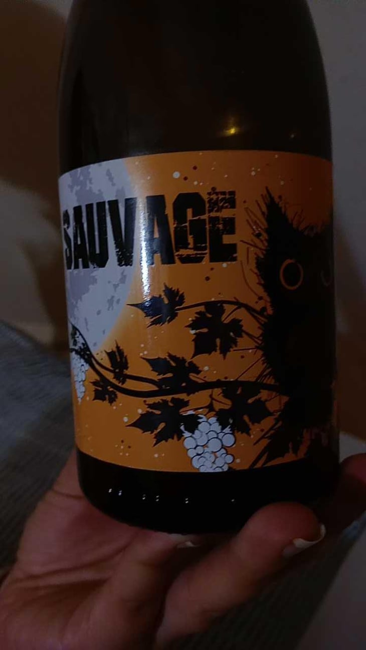 Sauvage - Constantina Sotelo Micro Bodega - Constantino Sotelo -2021