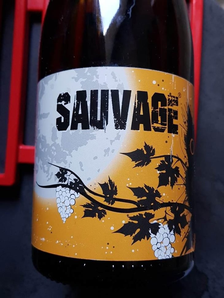 Sauvage - Constantina Sotelo Micro Bodega - Constantino Sotelo -2021