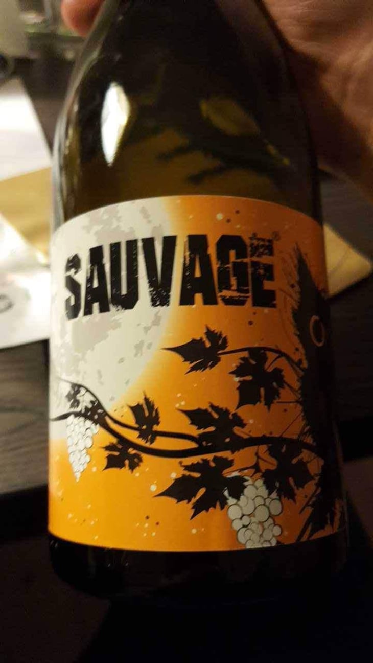 Sauvage - Constantina Sotelo Micro Bodega - Constantino Sotelo -2021