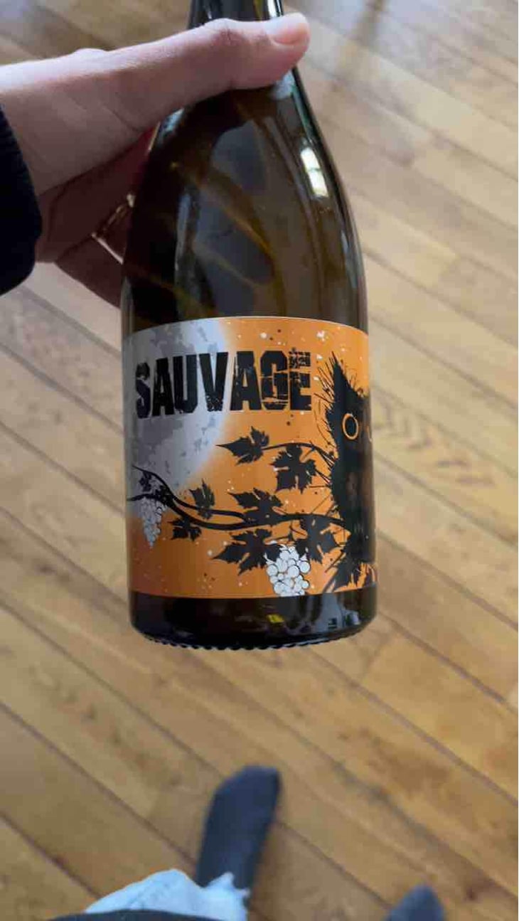 Sauvage - Constantina Sotelo Micro Bodega - Constantino Sotelo -2021