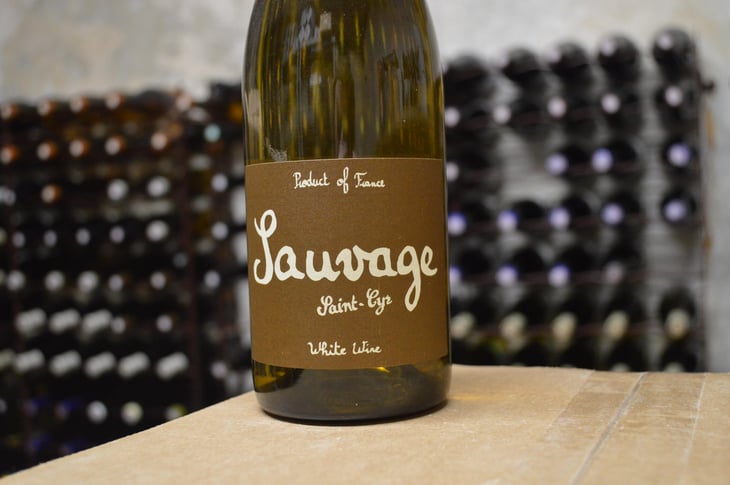 Sauvage - Domaine Saint-Cyr - Raphaël Saint-Cyr 