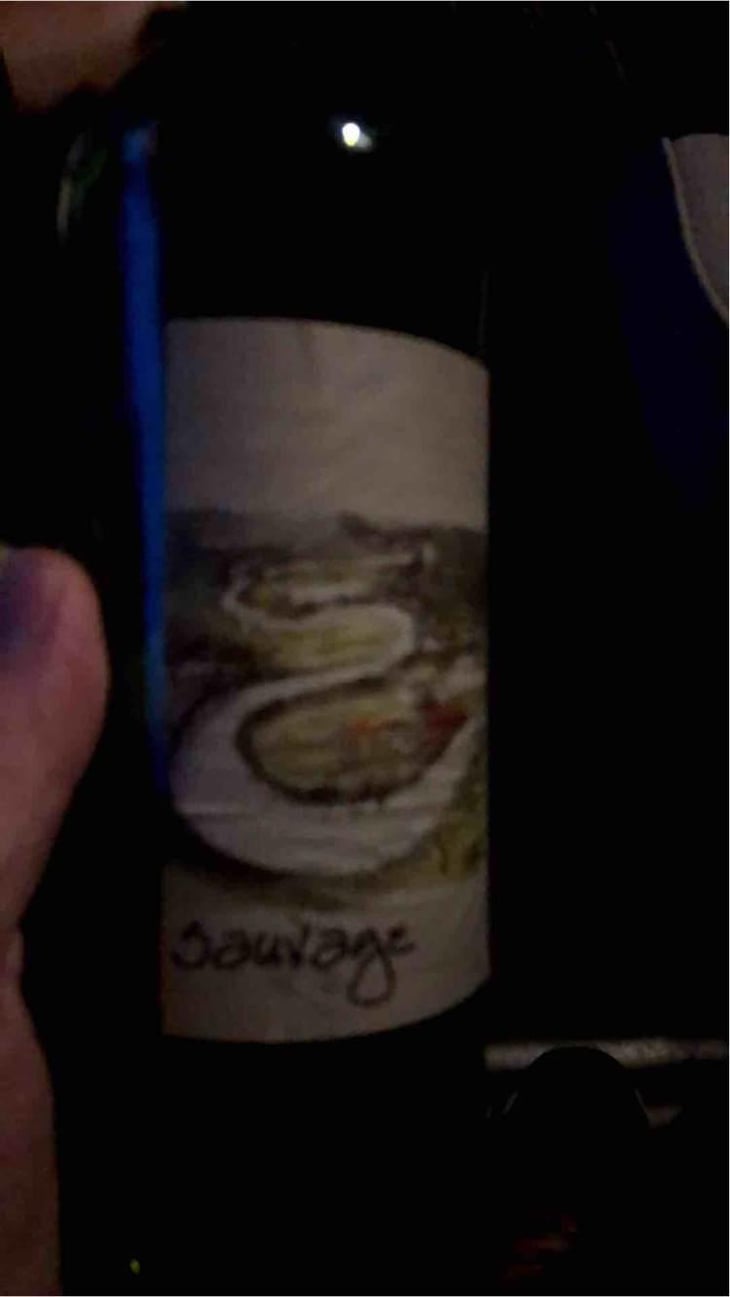 Sauvage - Simon Busser - Simon Busser 