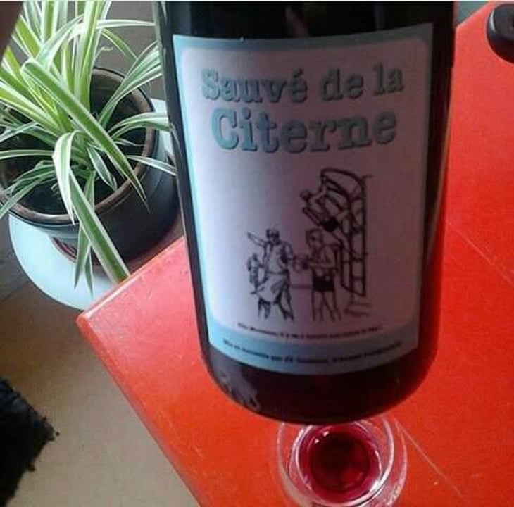 Sauvé de la Citerne - Mas Coutelou - Jean-François Coutelou 