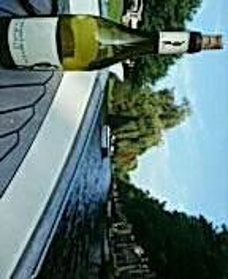 Sauvignon - Hervé Villemade - Hervé Villemade 