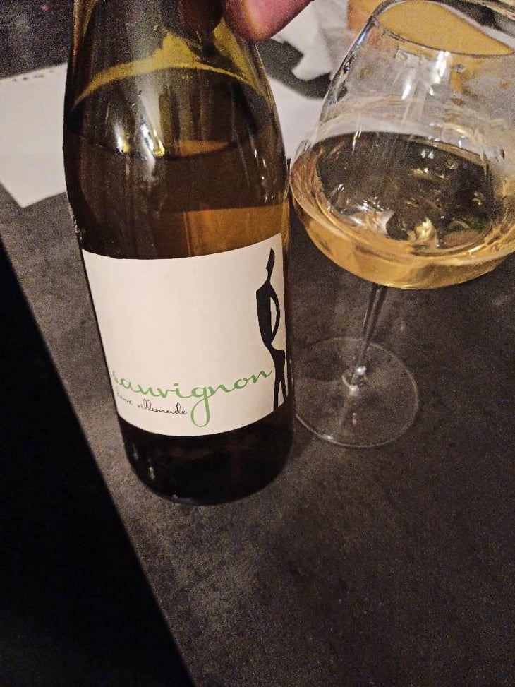 Sauvignon - Hervé Villemade - Hervé Villemade 