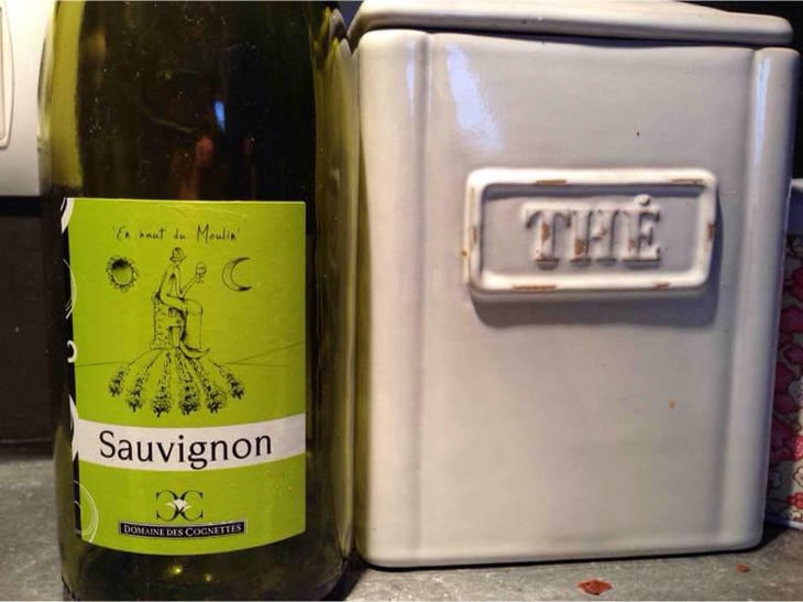 Sauvignon - Domaine Des Cognettes - Stéphane & Vincent Perraud 
