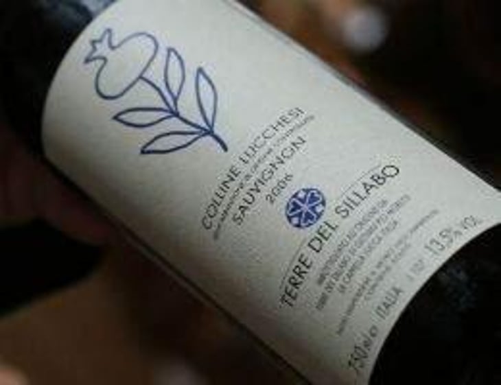 Sauvignon - Terre Del Sillabo - Giampi Moretti 