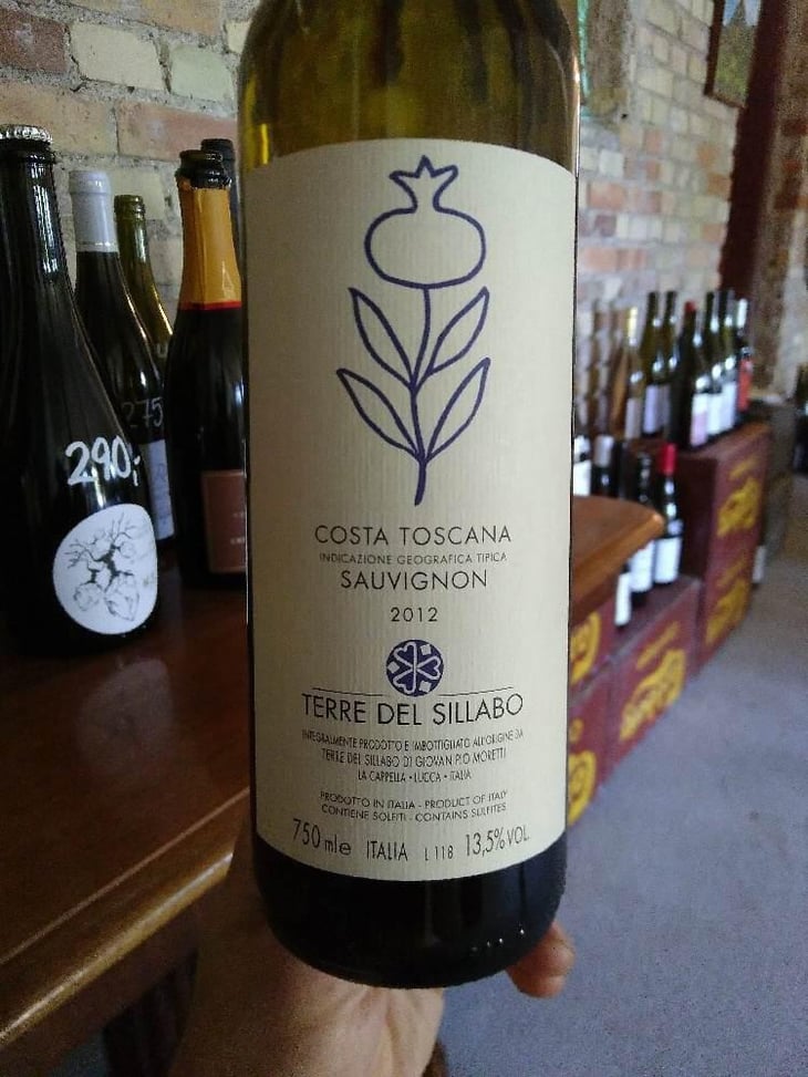 Sauvignon - Terre Del Sillabo - Giampi Moretti 