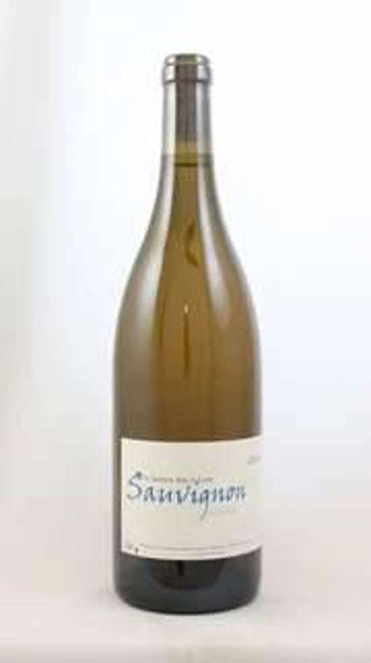 Sauvignon - Un Saumon Dans la Loire - Marie Thibault & Frantz Saumon 