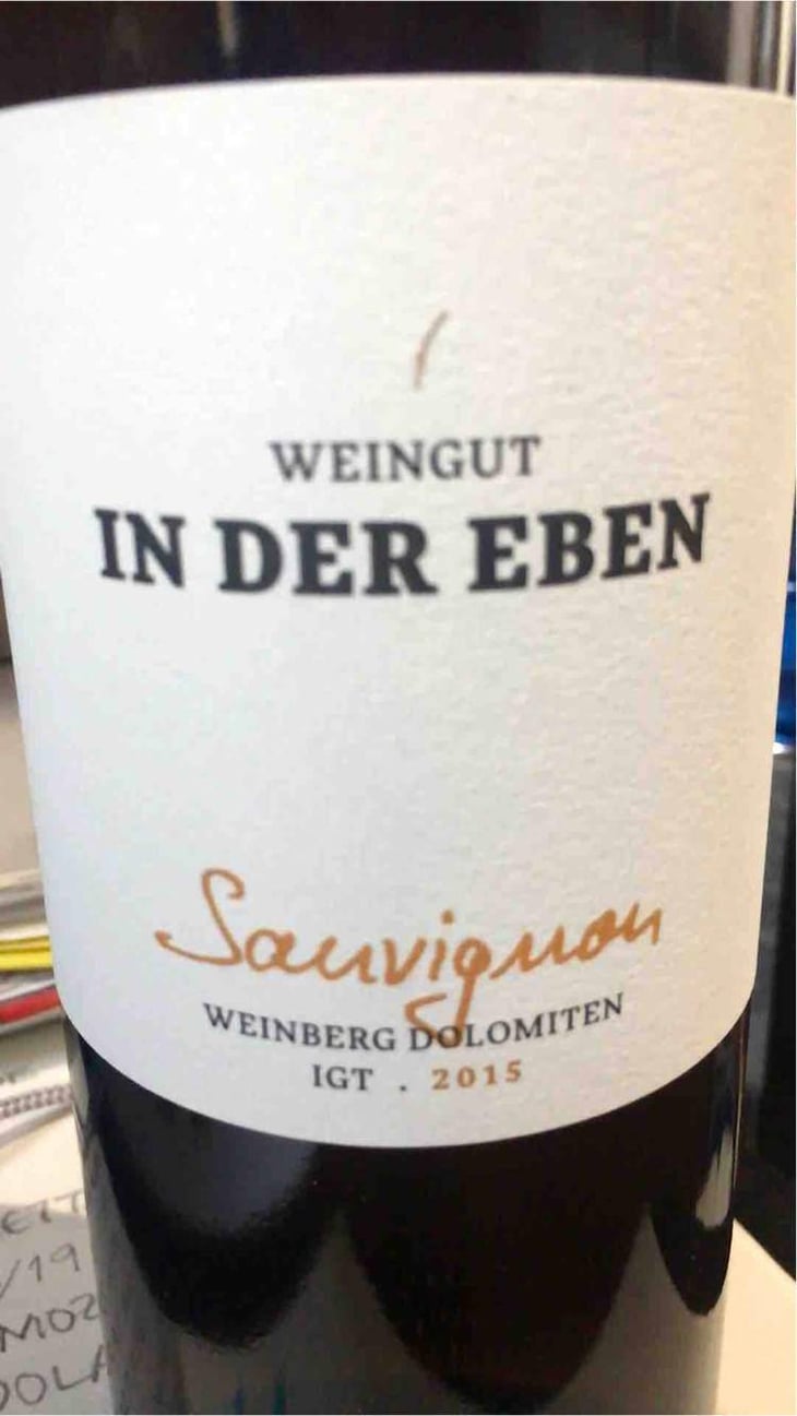 Sauvignon - Weingut In Der Eben - Urban Plattner 