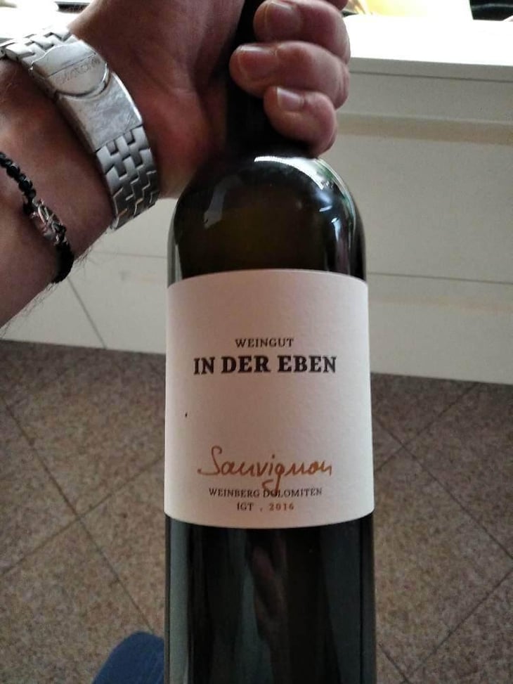 Sauvignon - Weingut In Der Eben - Urban Plattner 