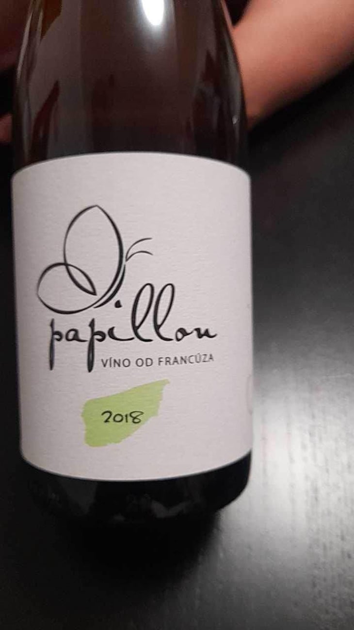 Sauvignon blanc - Vino Od Francuza - David Papillon & Darina Géciová 