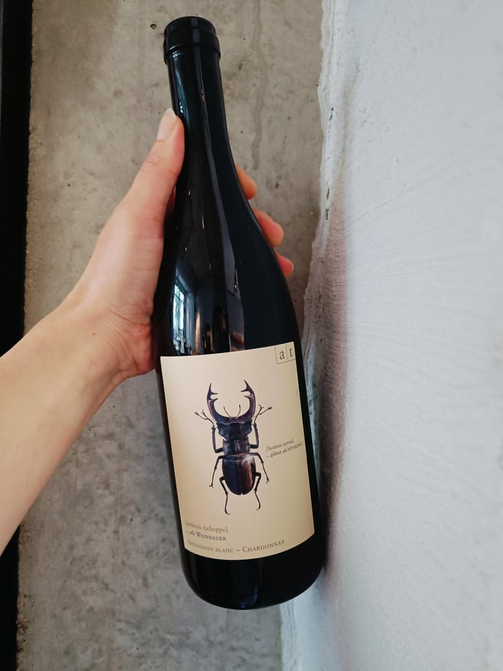 Hirschkäfer - Sauvignon Blanc/Chardonnay - Weingut Andreas & Elisabeth Tscheppe - Andreas & Elisabeth Tscheppe 
