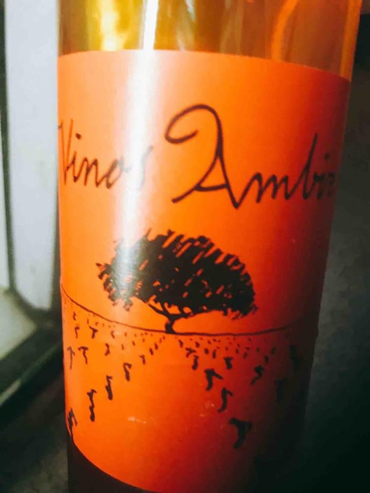 Sauvignon Blanc - Vinos Ambiz - Fabio Bartolomei 