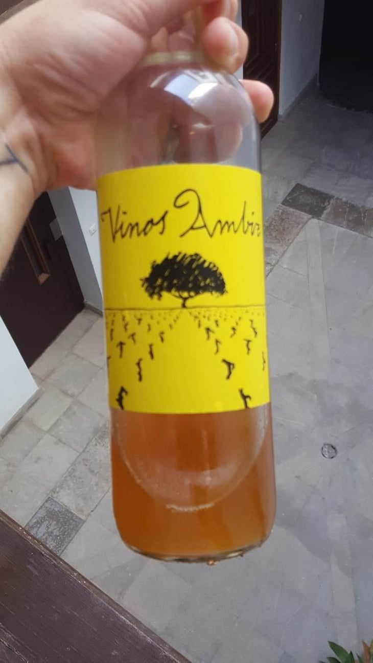 Sauvignon Blanc - Vinos Ambiz - Fabio Bartolomei 