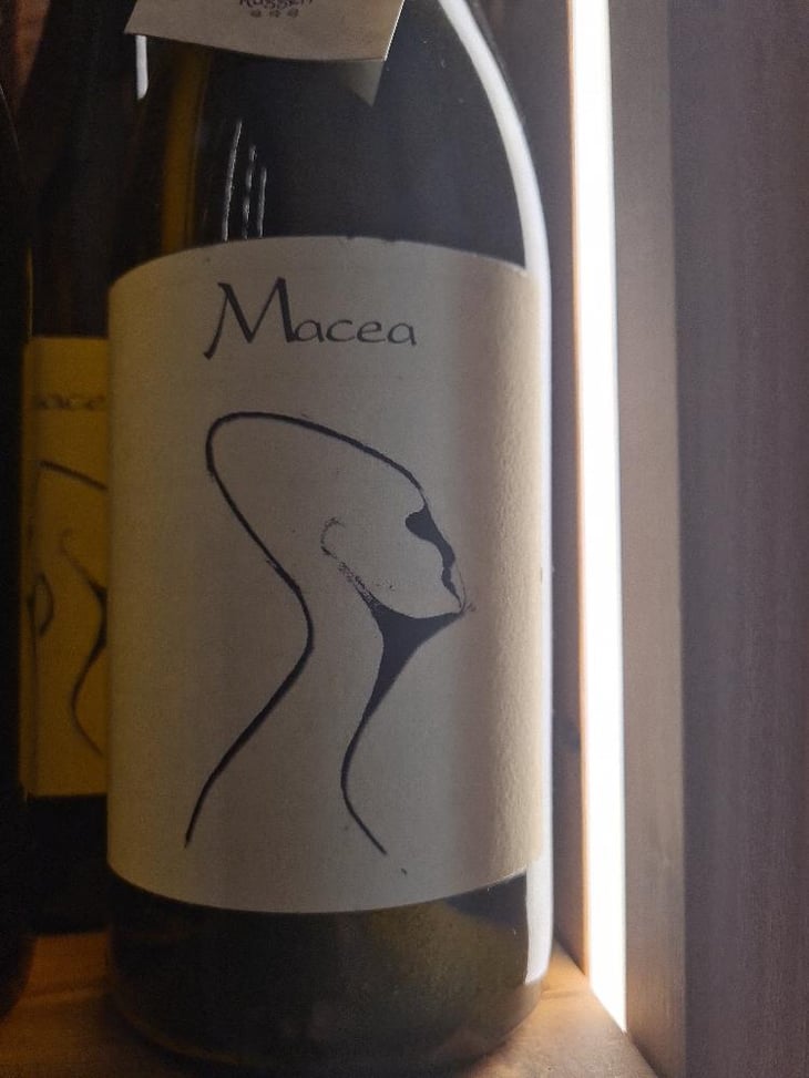Sauvignon blanc - Azienda Agricola Macea - Cipriano & Antonio Barsanti 