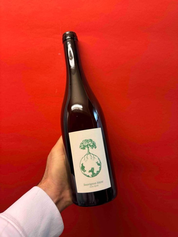 Sauvignon blanc - Weingut Werlitsch - Ewald & Brigitte Tscheppe 