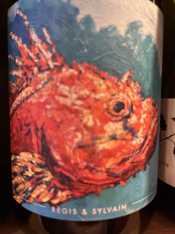 Sauvignon Blanc - Clos de Somméré - Régis & Sylvain 