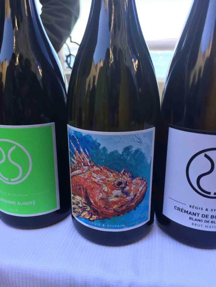 Sauvignon Blanc - Clos de Somméré - Régis & Sylvain 