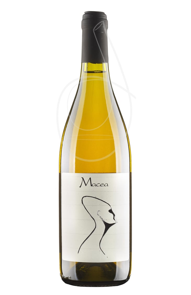 Sauvignon blanc - Azienda Agricola Macea - Cipriano & Antonio Barsanti 